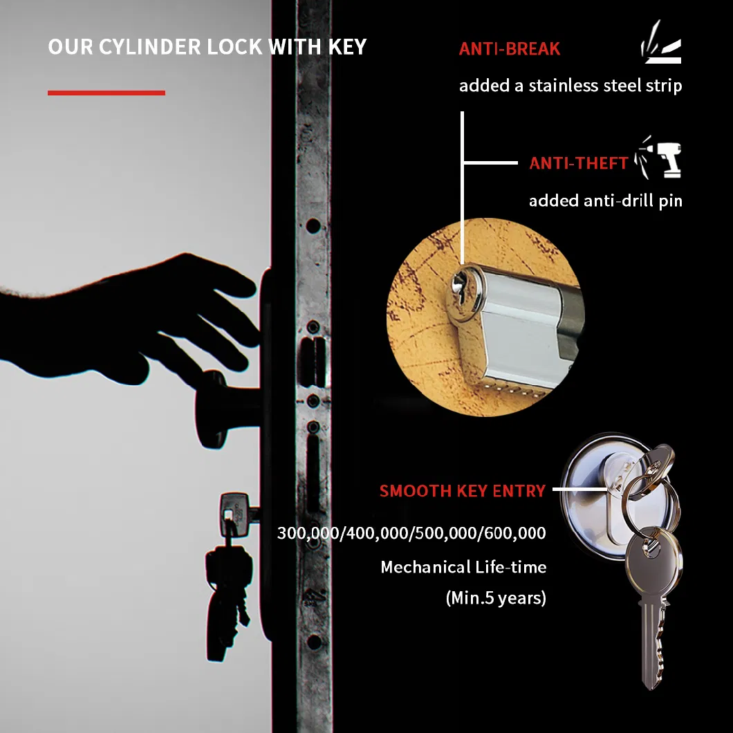 Single-Row Pin Brass Door Lock Cylinder Euro with 3 Security Keys