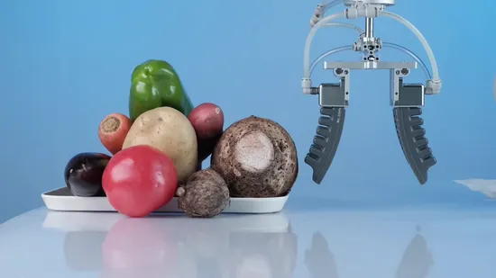 New Product Collaborative Robot Arm Pneumatic Finger Soft Gripper Two Beaks High Speed and High Precision